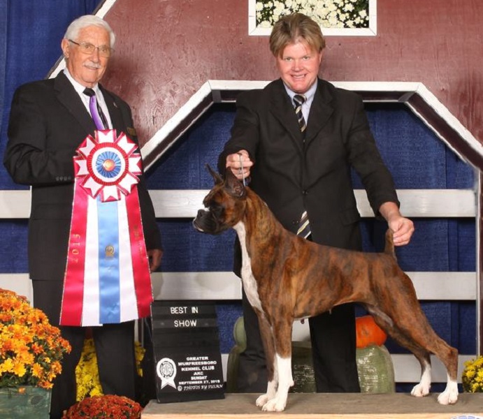 Best In Show- Greater Murfreesboro Kennel Club, judge Charles Trotter